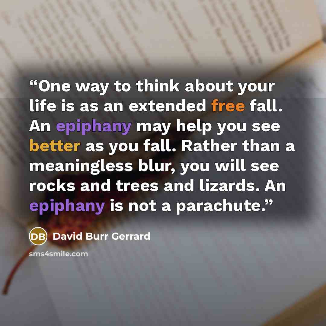 “One way to think about your life is as an extended free fall. An epiphany may help you see better as you fall. Rather than a meaningless blur, you will see rocks and trees and lizards. An epiphany is not a parachute.” quote by David Burr Gerrard