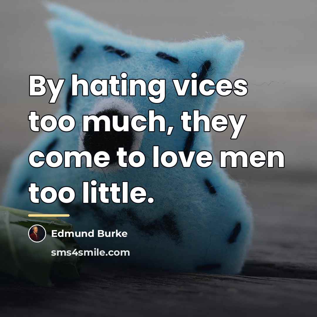 “By hating vices too much, they come to love men…” quote by Edmund Burke
