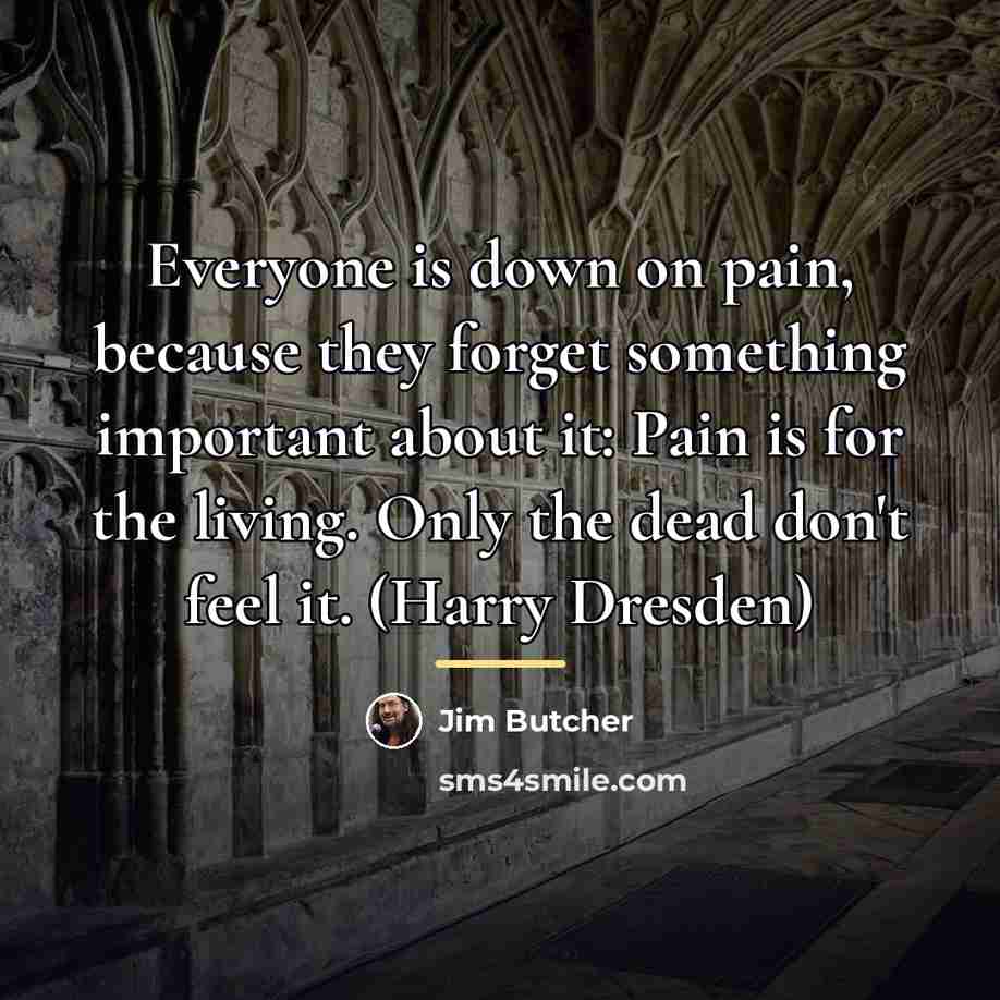 “Everyone is down on pain, because they forget something important…” quote by Jim Butcher
