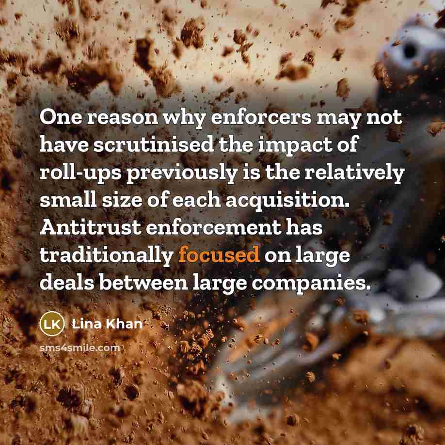 “One reason why enforcers may not have scrutinised the impact…” quote by Lina Khan