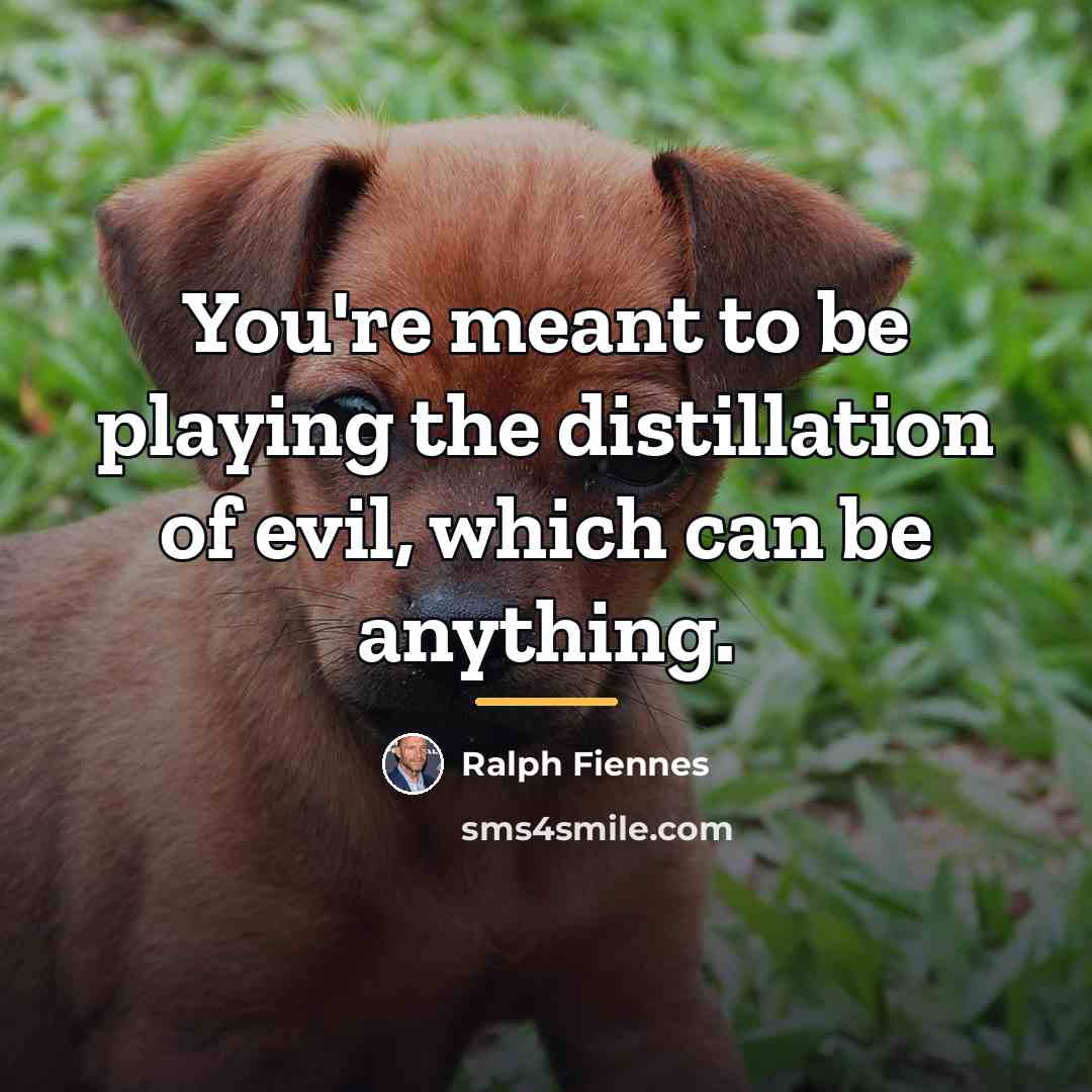 “You're meant to be playing the distillation of evil, which…” quote by Ralph Fiennes