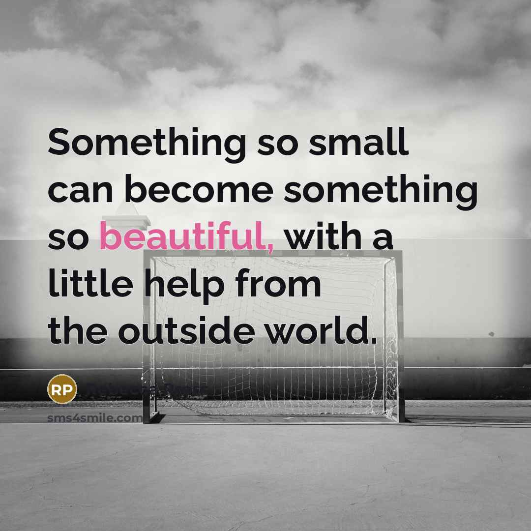 “Something so small can become something so beautiful, with a…” quote by Rebecca Press