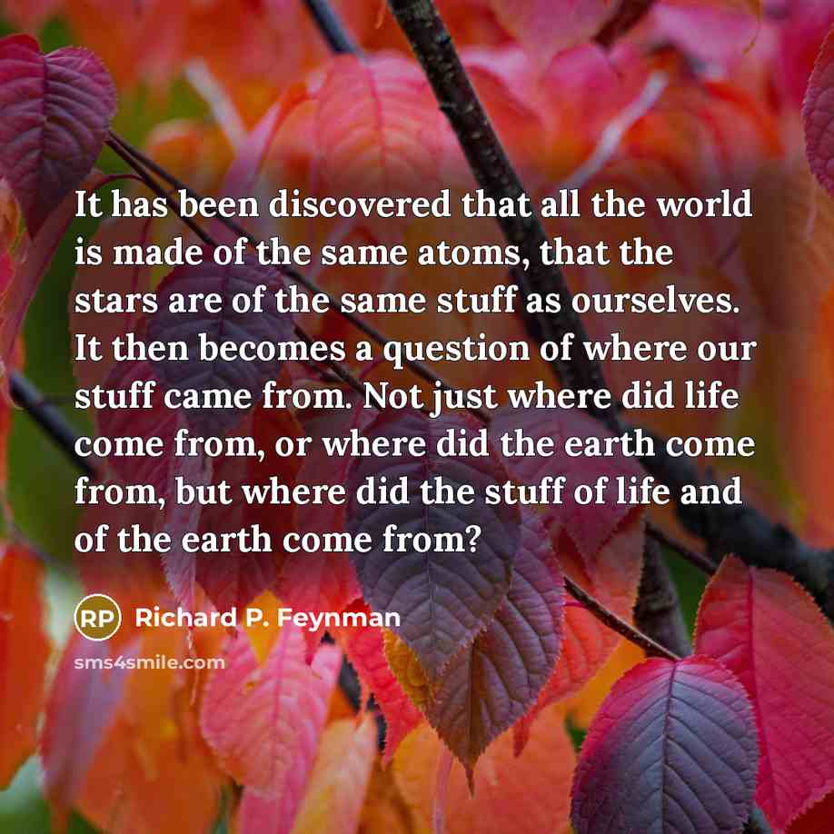 “It has been discovered that all the world is made…” quote by Richard P. Feynman