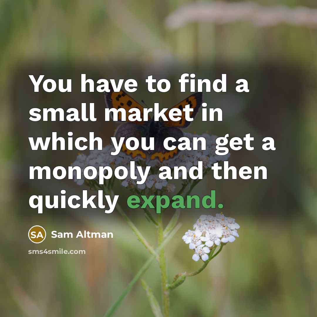 “You have to find a small market in which you…” quote by Sam Altman