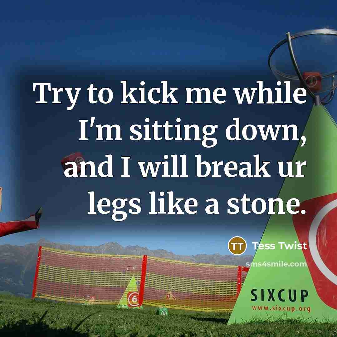 “Try to kick me while I'm sitting down, and I will break ur legs like a stone.” quote by Tess Twist