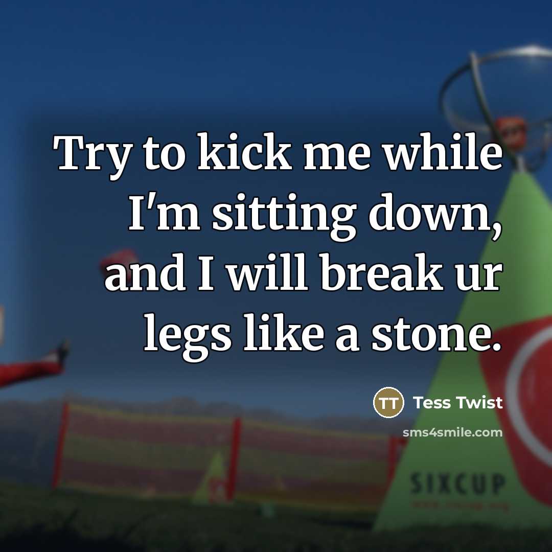 “Try to kick me while I'm sitting down, and I will break ur legs like a stone.” quote by Tess Twist