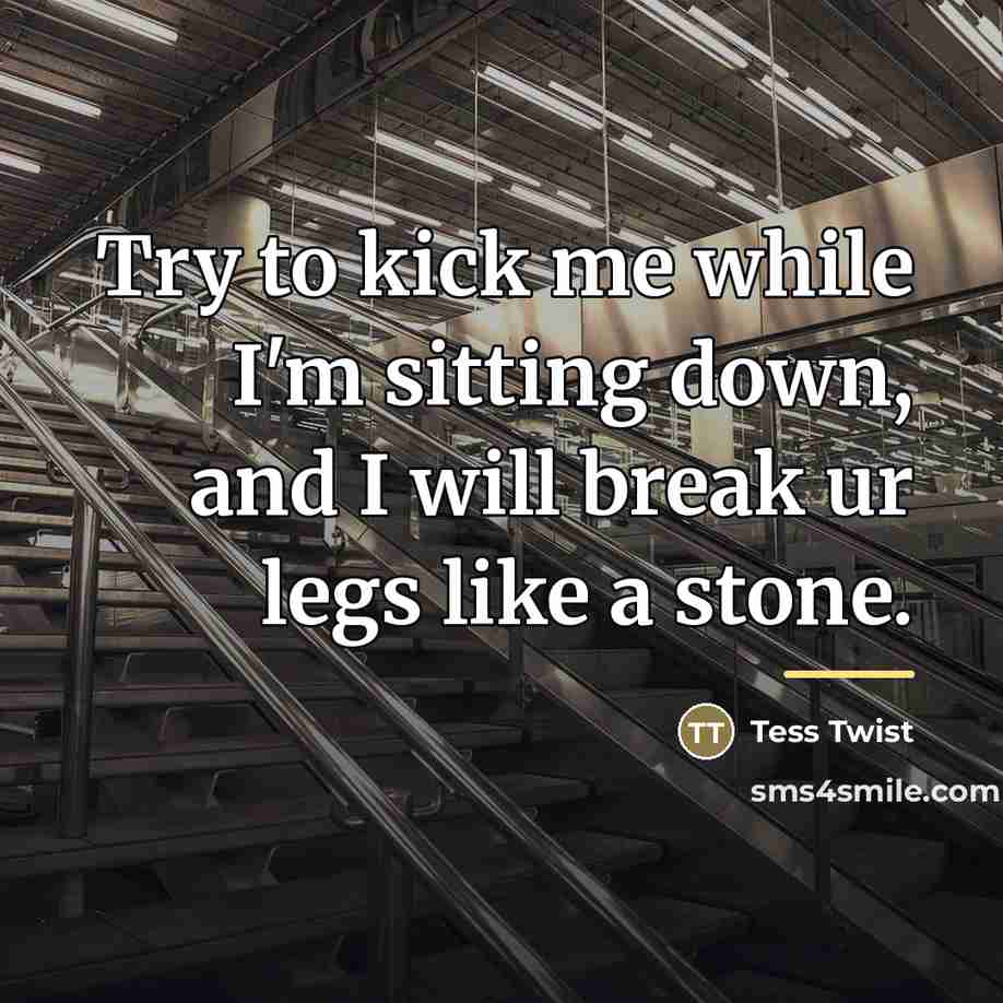 “Try to kick me while I'm sitting down, and I…” quote by Tess Twist