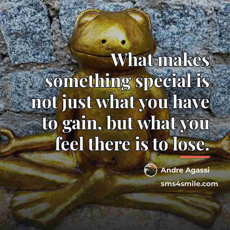 “What makes something special is not just what you have…” quote by Andre Agassi