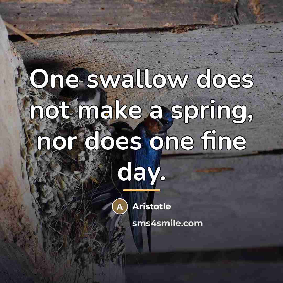 “One swallow does not make a spring, nor does one…” quote by Aristotle