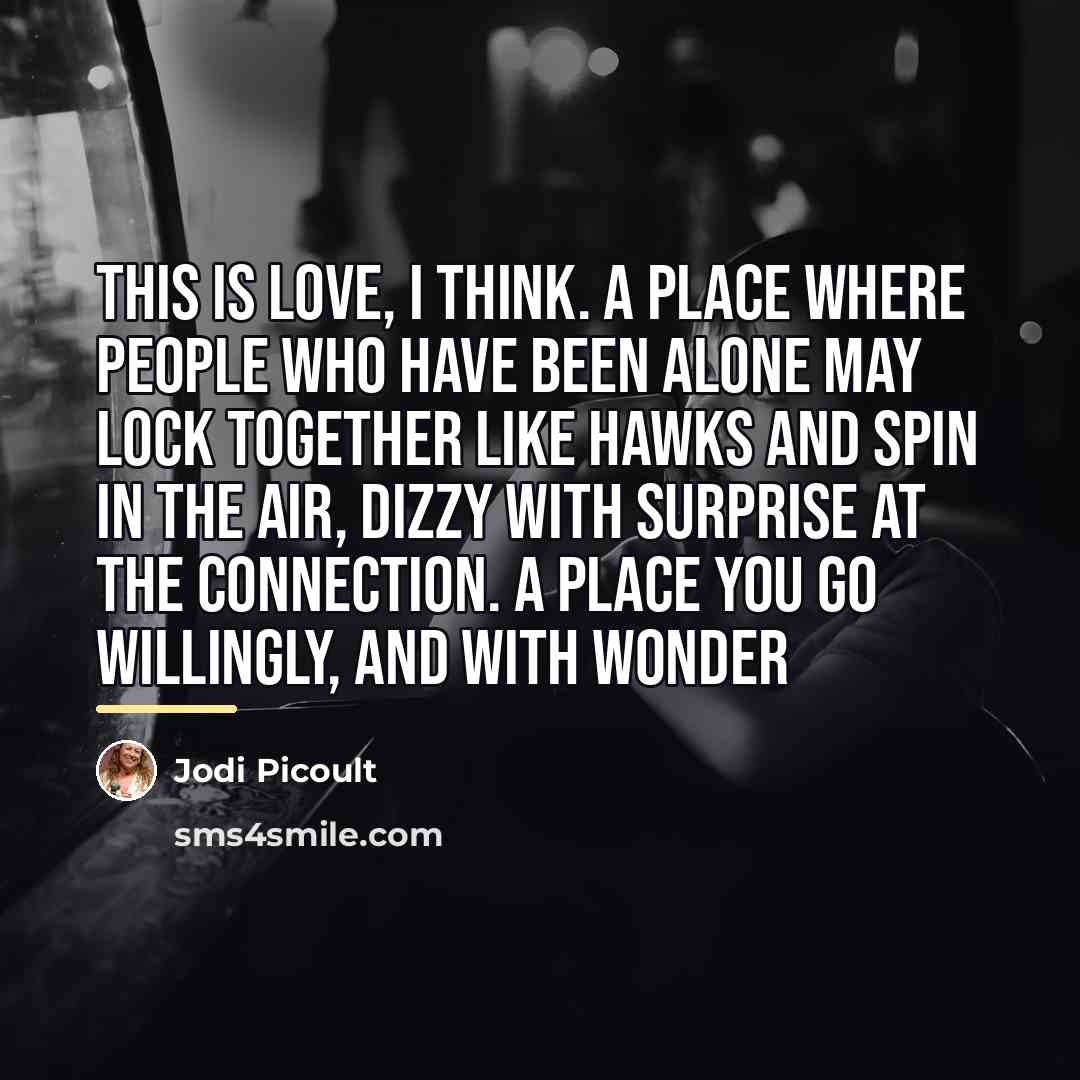 “This is love, I think. A place where people who…” quote by Jodi Picoult