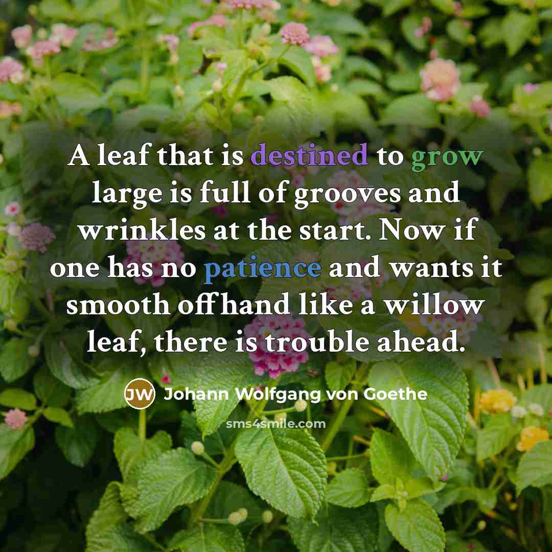 “A leaf that is destined to grow large is full…” quote by Johann Wolfgang von Goethe
