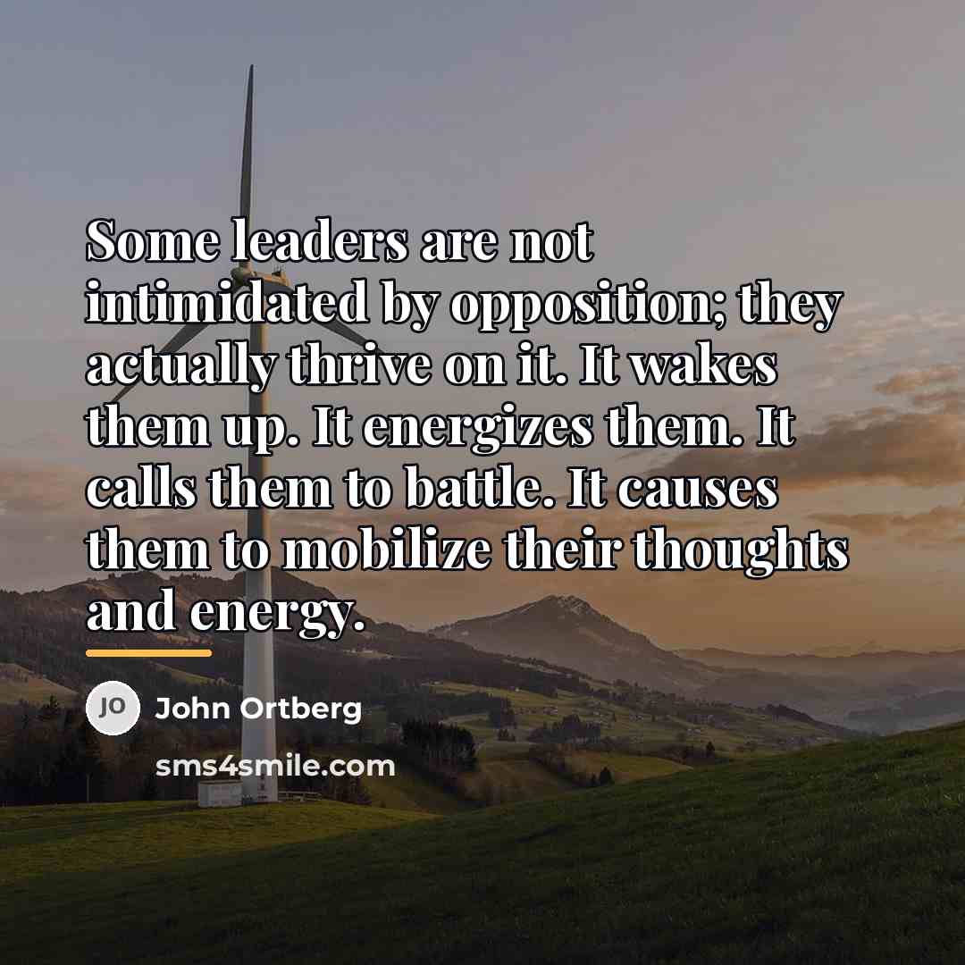 “Some leaders are not intimidated by opposition; they actually thrive…” quote by John Ortberg