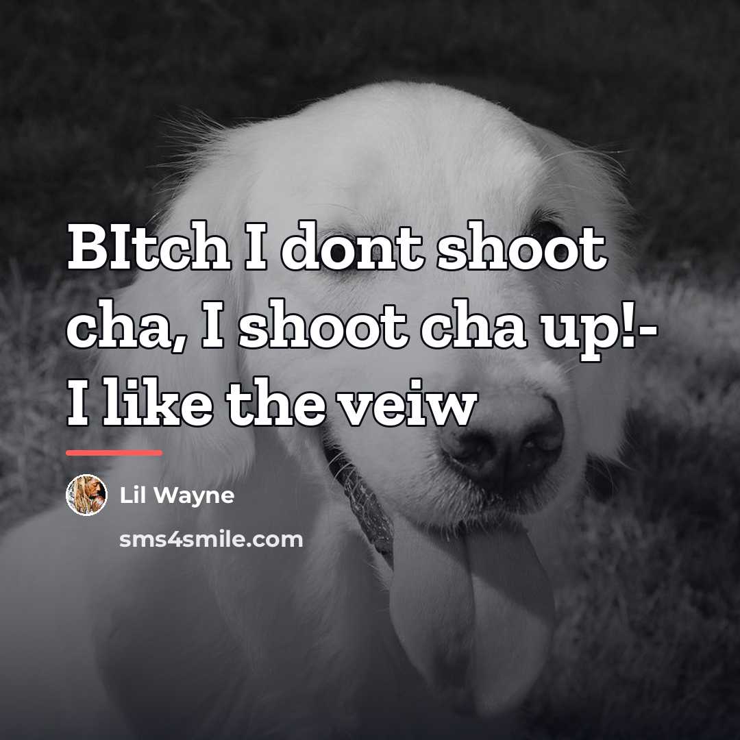 “BItch I dont shoot cha, I shoot cha up!- I…” quote by Lil Wayne