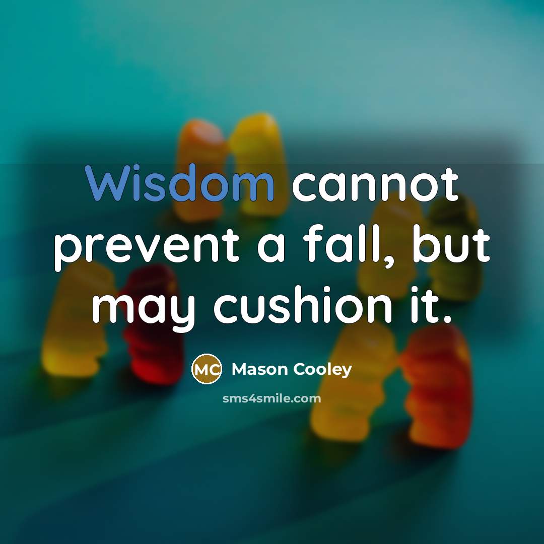 “Wisdom cannot prevent a fall, but may cushion it.” quote by Mason Cooley