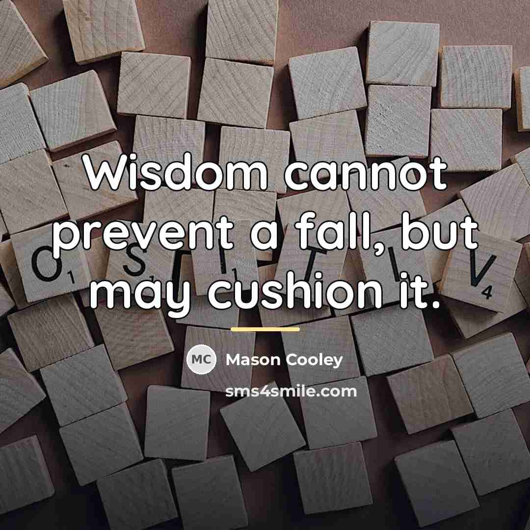 “Wisdom cannot prevent a fall, but may cushion it.…” quote by Mason Cooley