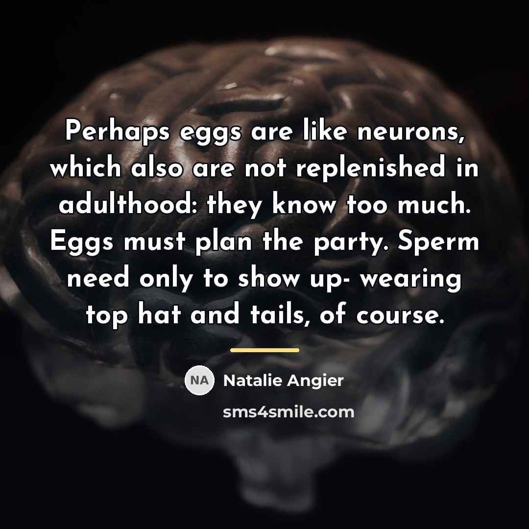 “Perhaps eggs are like neurons, which also are not replenished…” quote by Natalie Angier