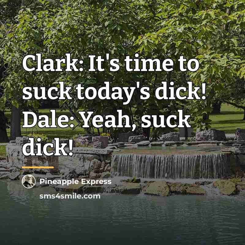 “Clark: It's time to suck today's dick! Dale: Yeah, suck…” quote by Pineapple Express