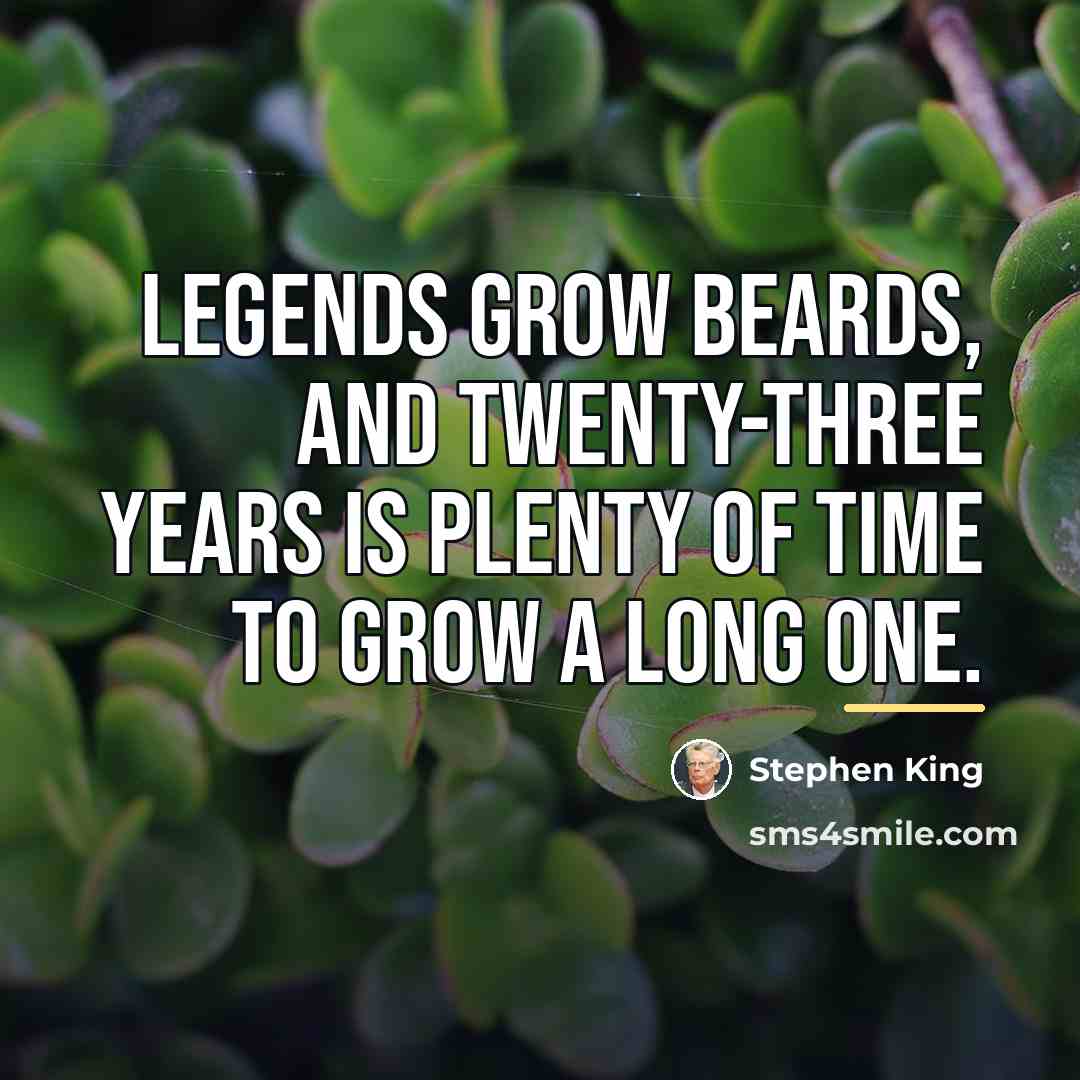 “Legends grow beards, and twenty-three years is plenty of time…” quote by Stephen King