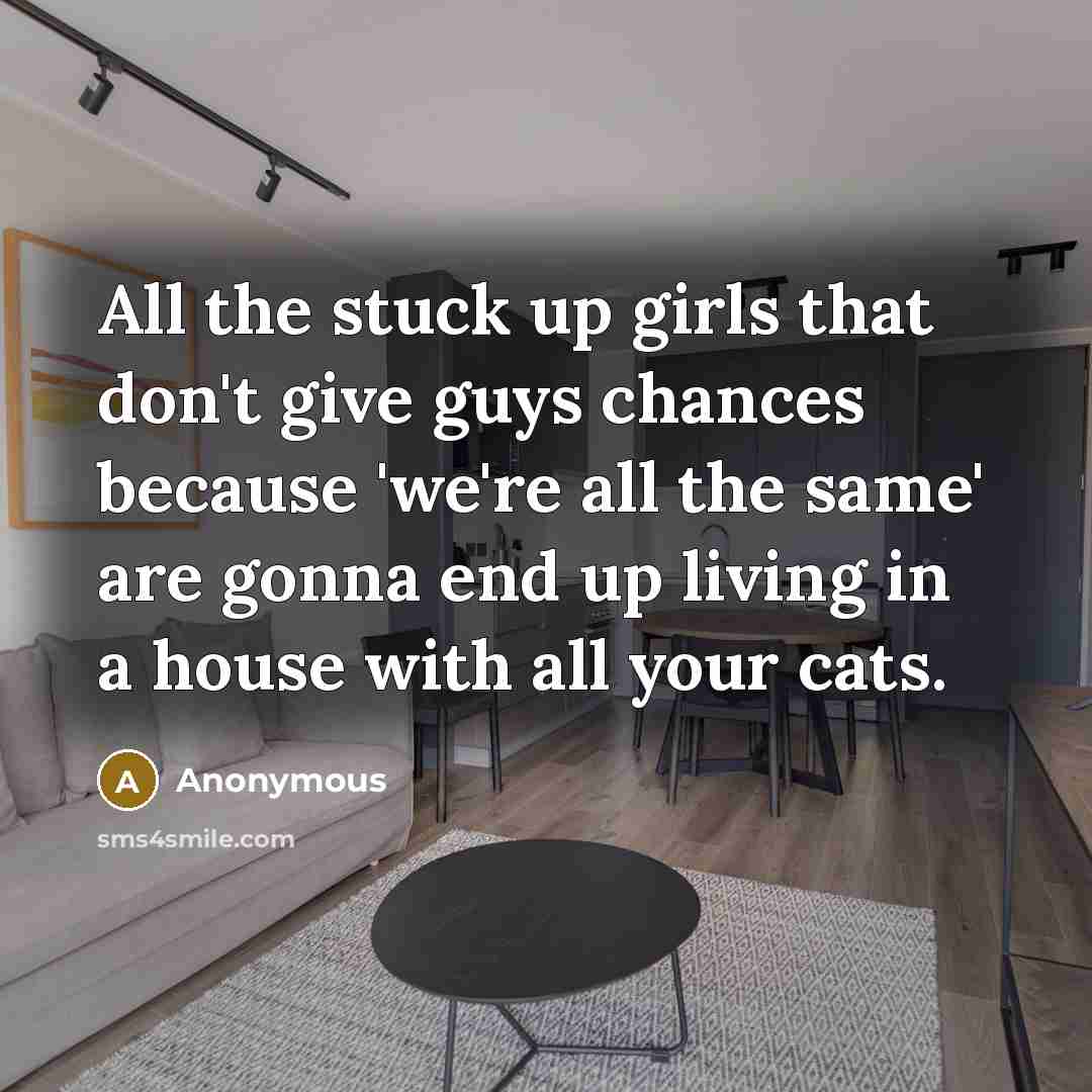 “All the stuck up girls that don't give guys chances because 'we're all the same' are gonna end up living in a house with all your cats.” quote by Anonymous