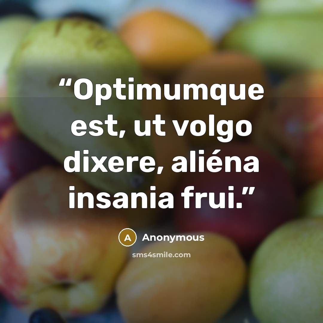 “Optimumque est, ut volgo dixere, aliéna insania frui.” quote by Anonymous