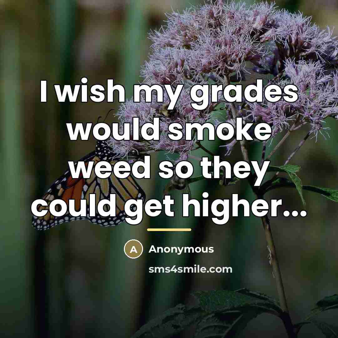 “I wish my grades would smoke weed so they could…” quote by Anonymous