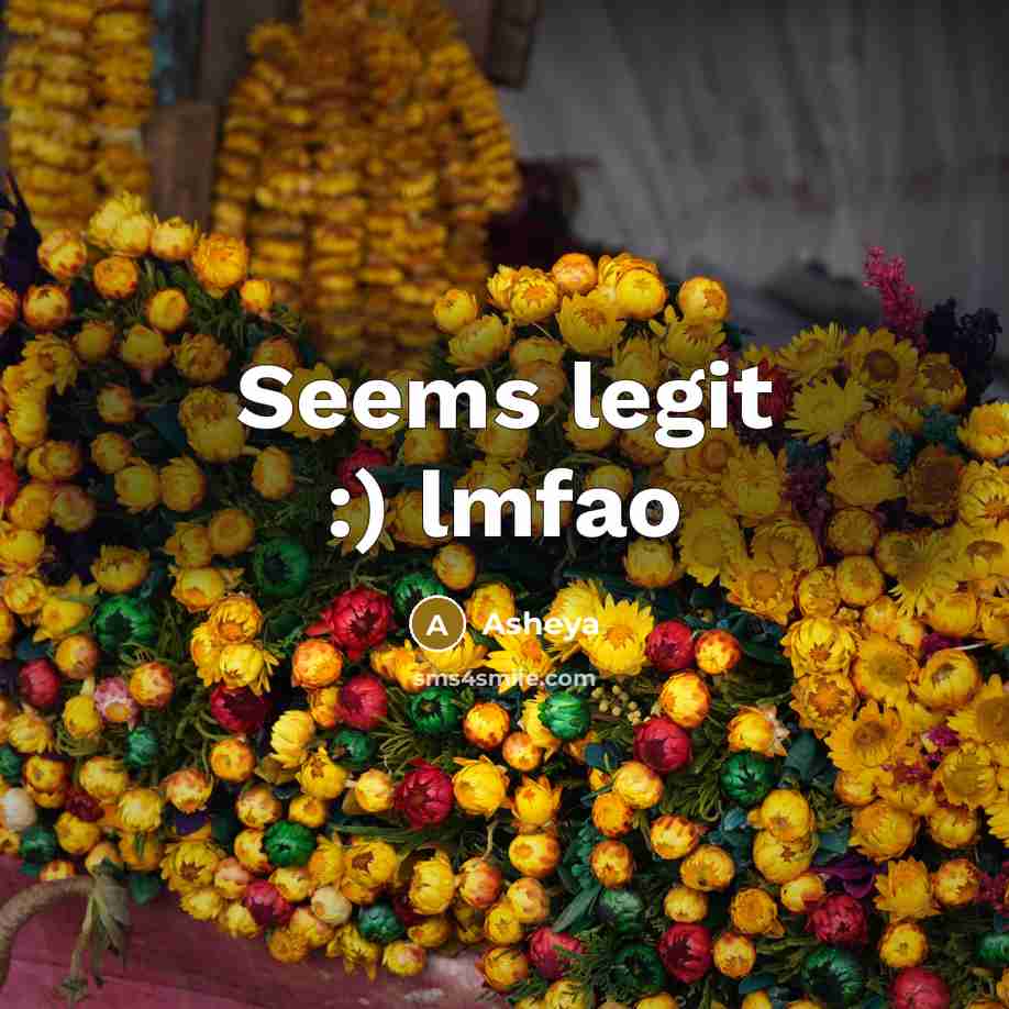 “Seems legit :) lmfao…” quote by Asheya