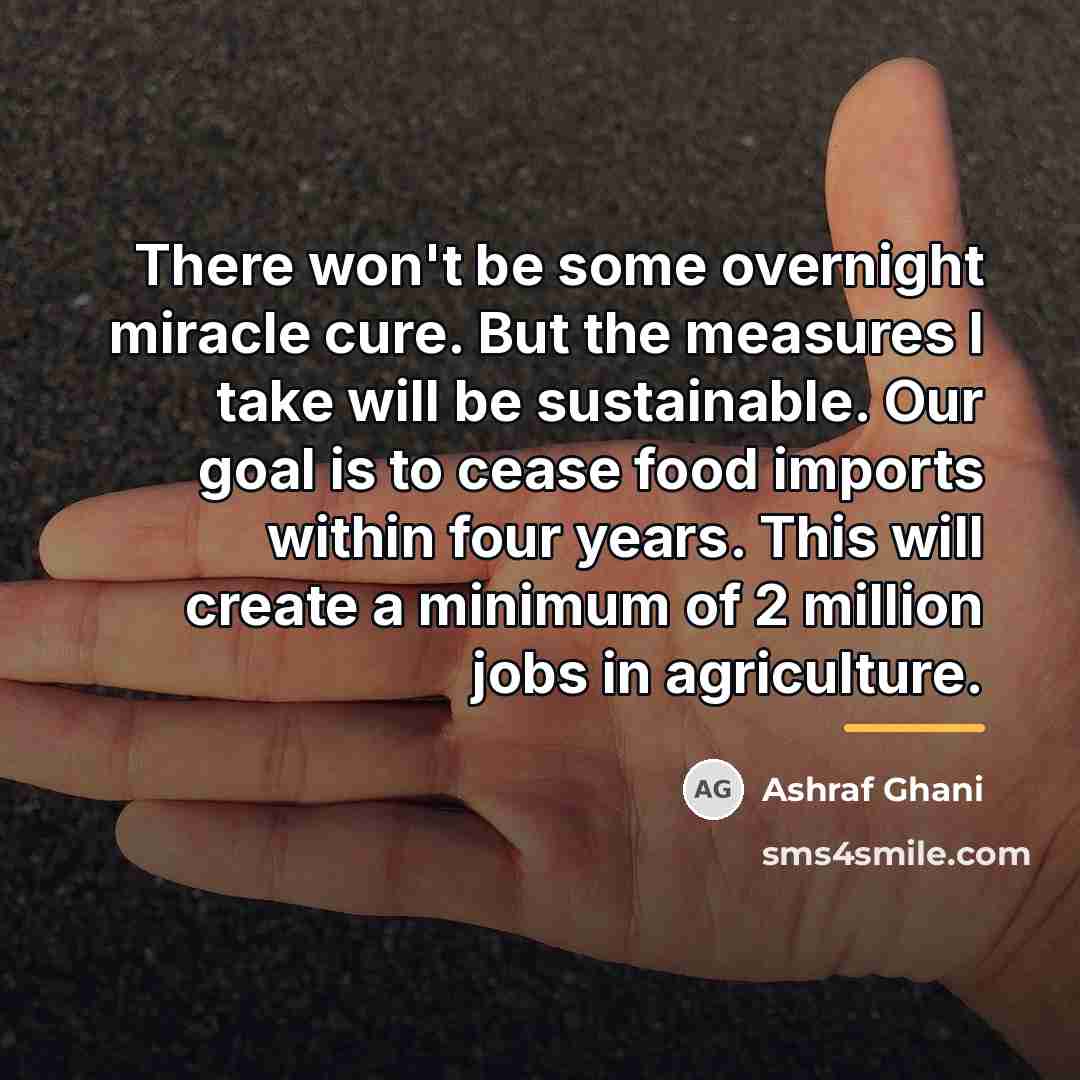 “There won't be some overnight miracle cure. But the measures…” quote by Ashraf Ghani