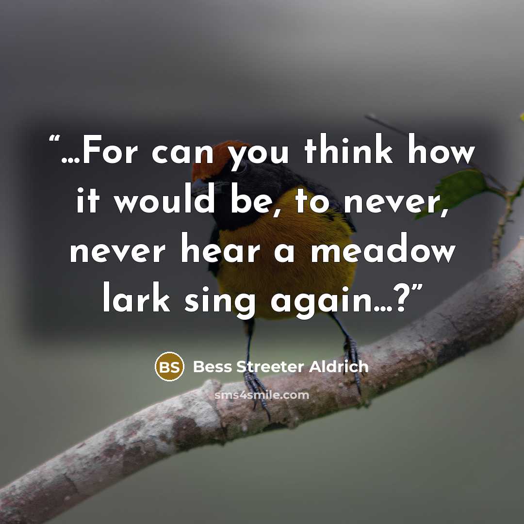 “...For can you think how it would be, to never, never hear a meadow lark sing again...?” quote by Bess Streeter Aldrich