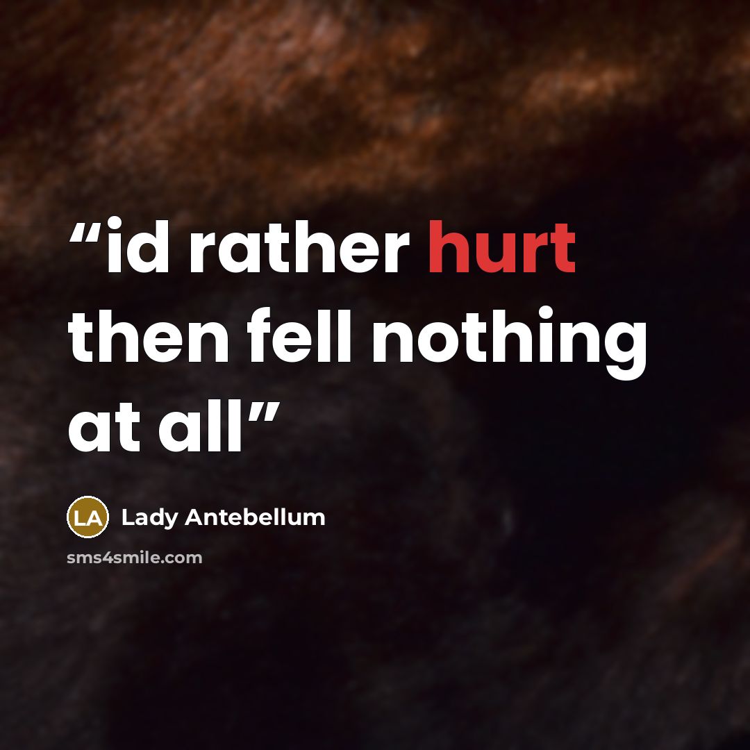 “id rather hurt then fell nothing at all” quote by lady antebellum