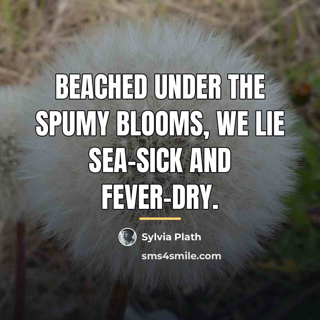 “Beached under the spumy blooms, we lie Sea-sick and fever-dry.…” quote by Sylvia Plath