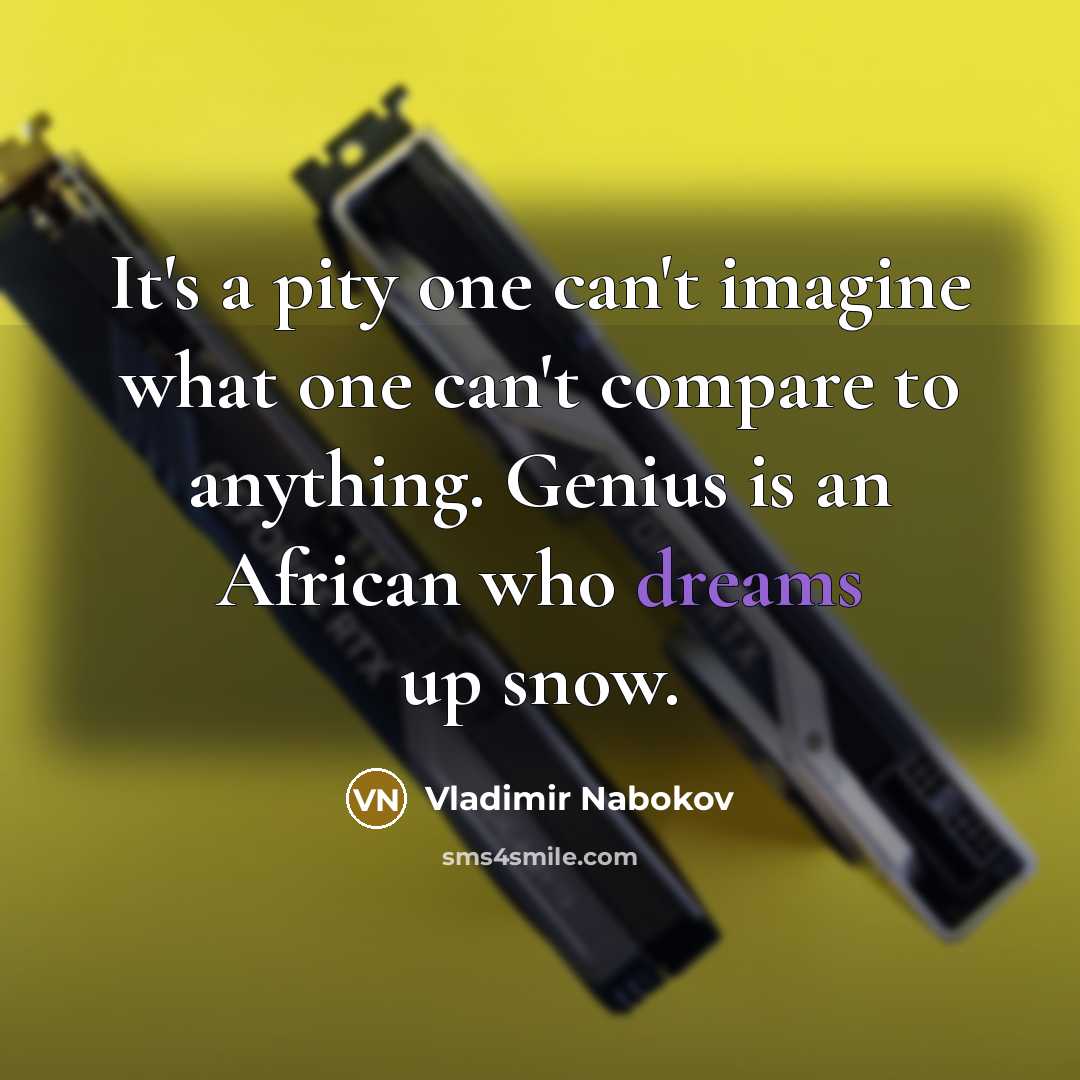 “It's a pity one can't imagine what one can't compare…” quote by Vladimir Nabokov