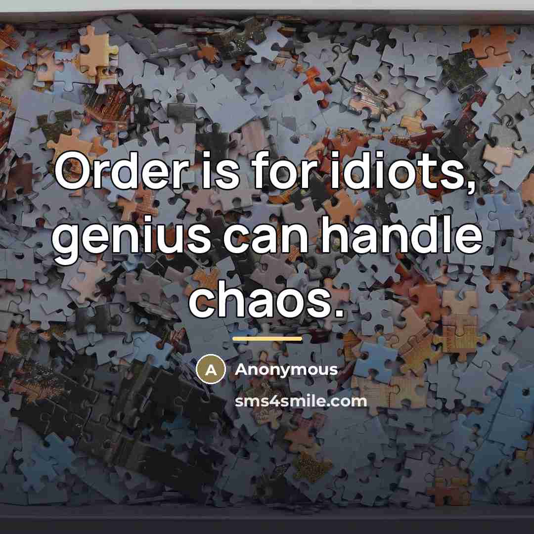 “Order is for idiots, genius can handle chaos.…” quote by Anonymous