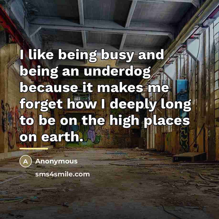 “I like being busy and being an underdog because it…” quote by Anonymous