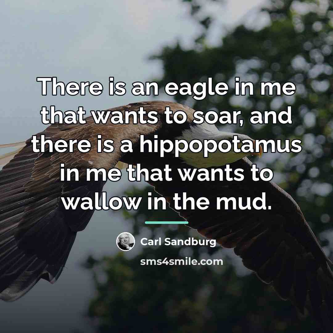 “There is an eagle in me that wants to soar,…” quote by Carl Sandburg