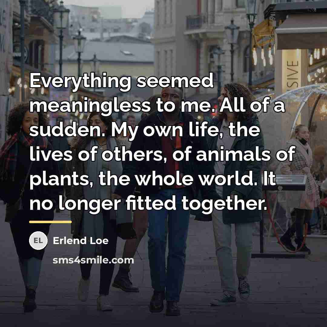 “Everything seemed meaningless to me. All of a sudden. My…” quote by Erlend Loe