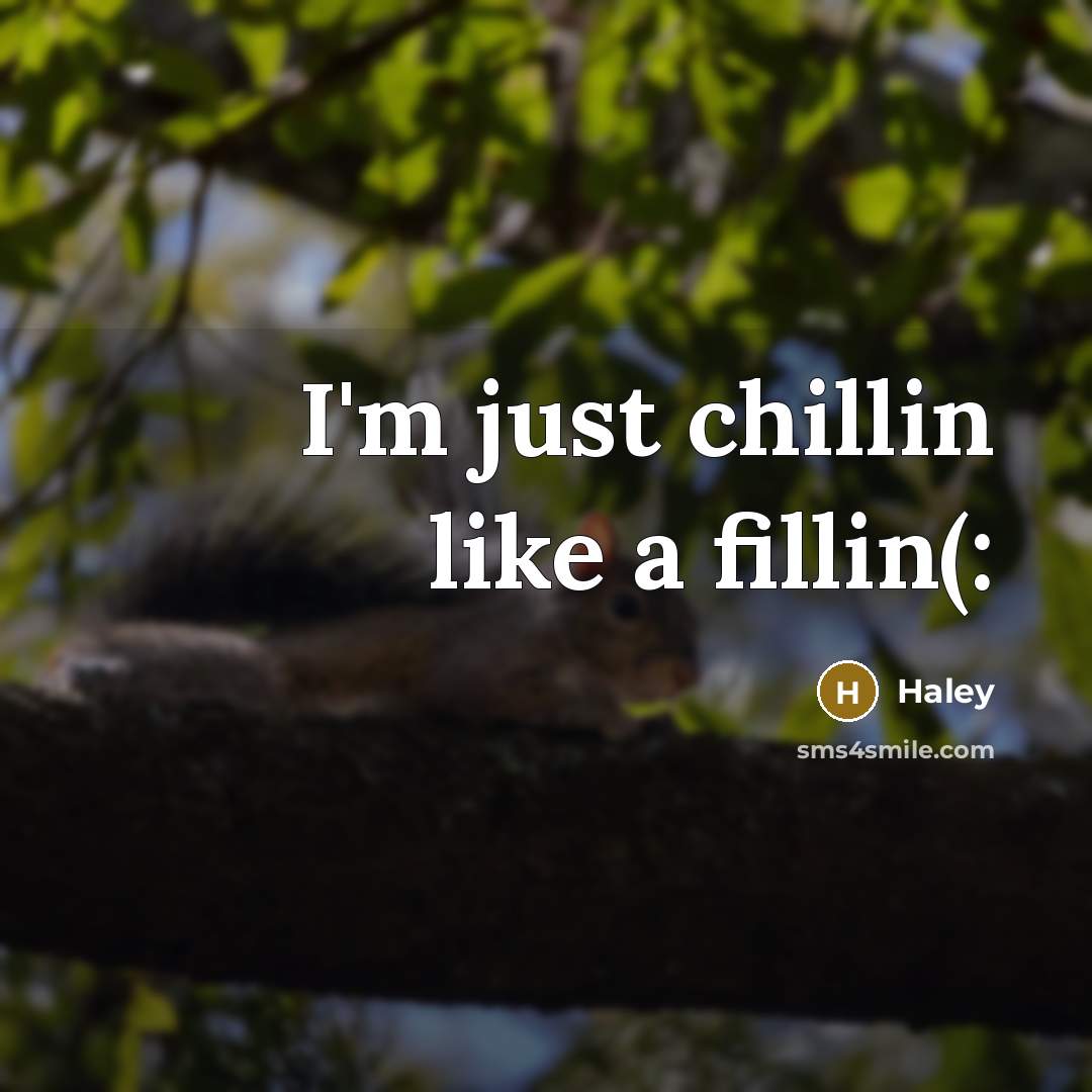 “I'm just chillin like a fillin(:…” quote by Haley