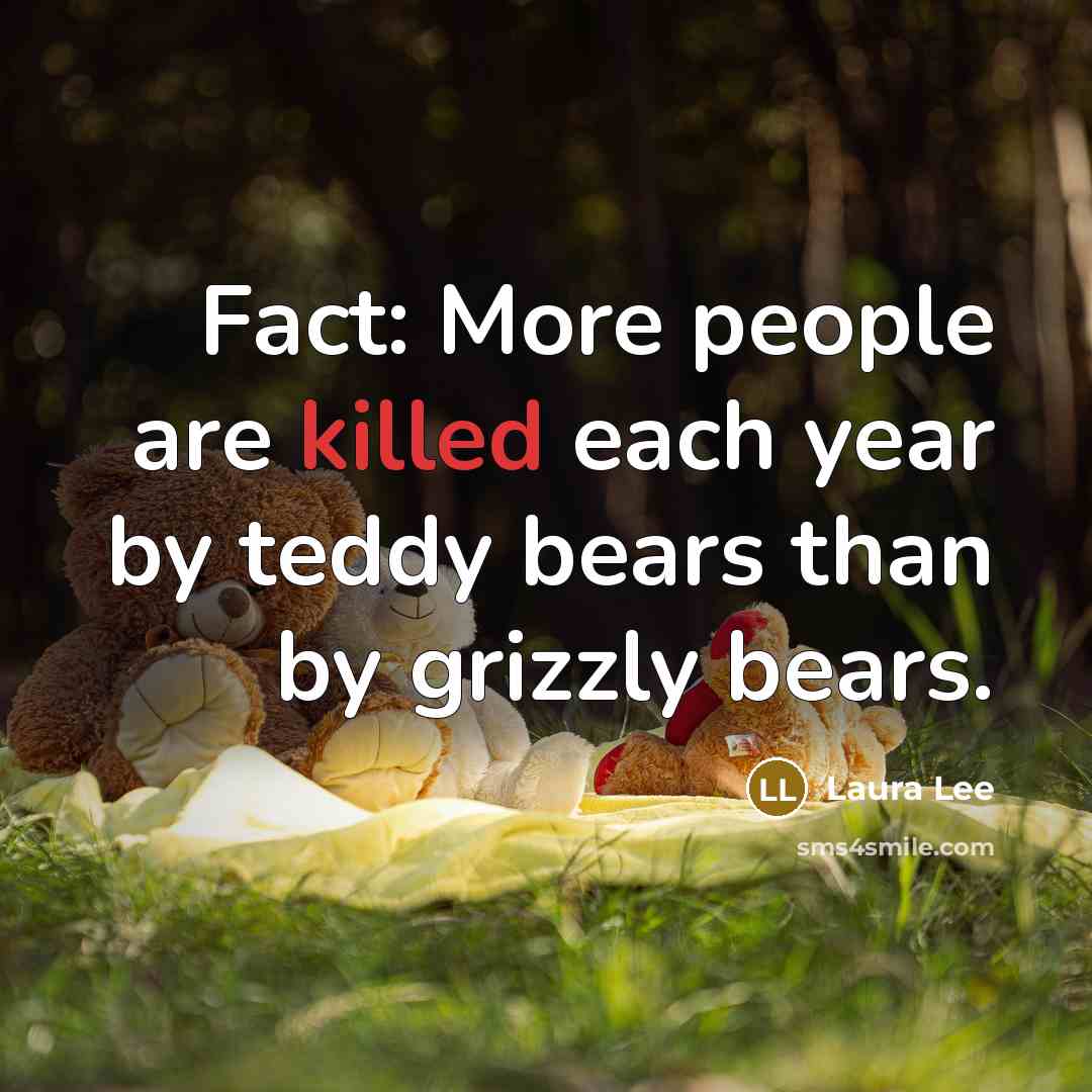 “Fact: More people are killed each year by teddy bears…” quote by Laura Lee