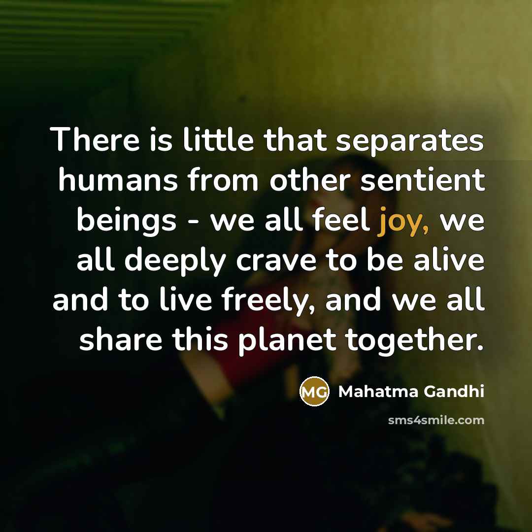 “There is little that separates humans from other sentient beings…” quote by Mahatma Gandhi