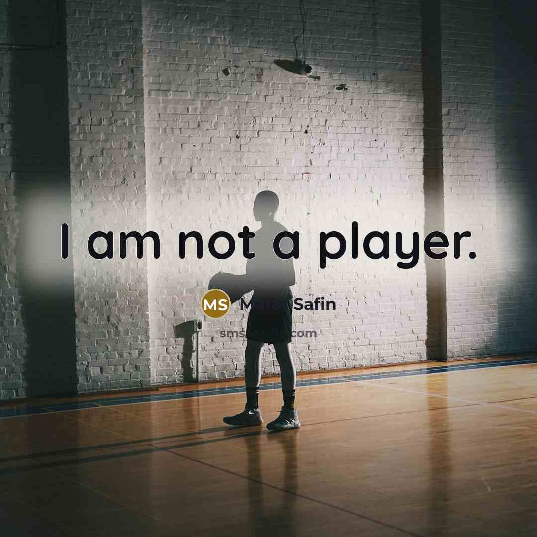 “I am not a player.…” quote by Marat Safin