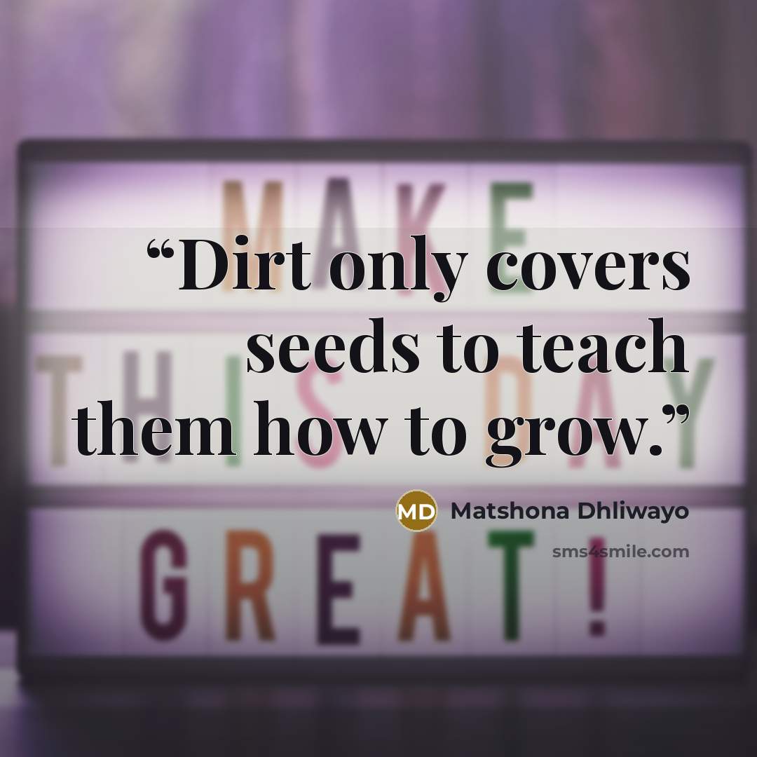 “Dirt only covers seeds to teach them how to grow.” quote by Matshona Dhliwayo