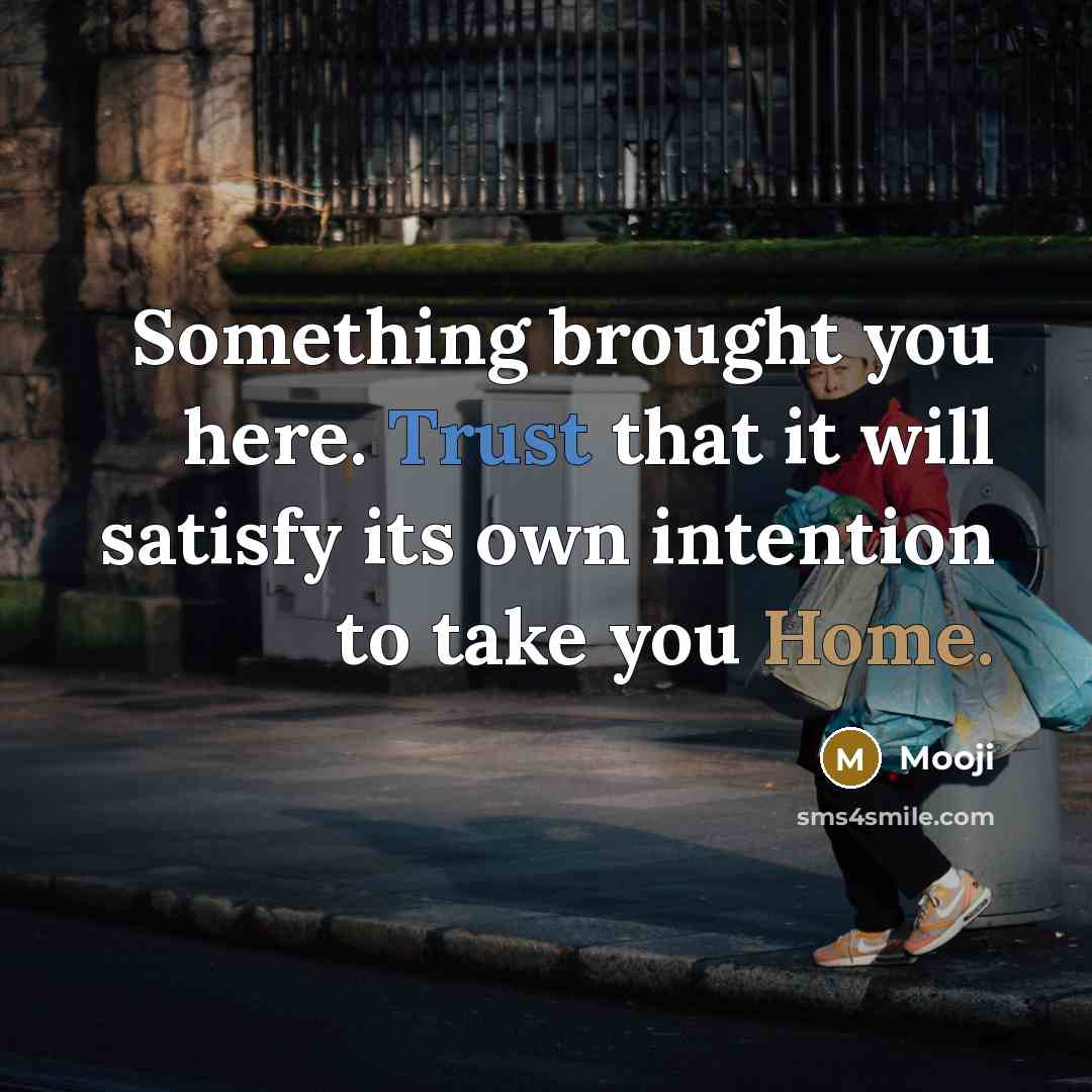 “Something brought you here. Trust that it will satisfy its own intention to take you Home.” quote by Mooji