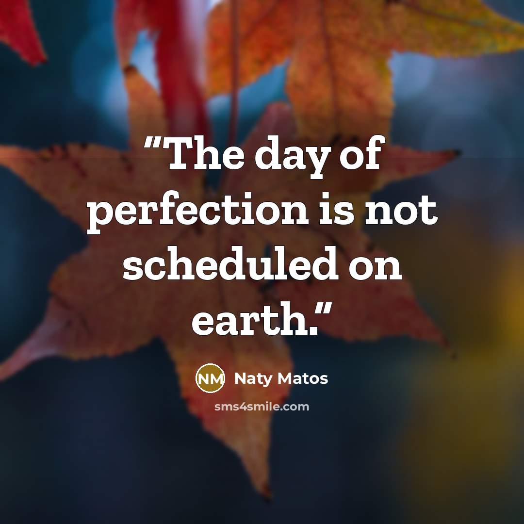 “The day of perfection is not scheduled on earth.” quote by Naty Matos