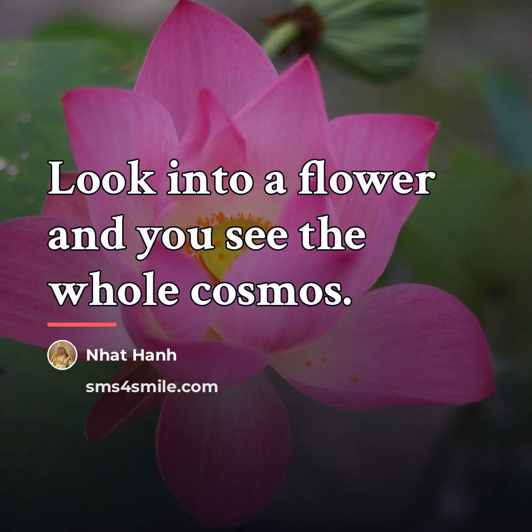 “Look into a flower and you see the whole cosmos.…” quote by Nhat Hanh