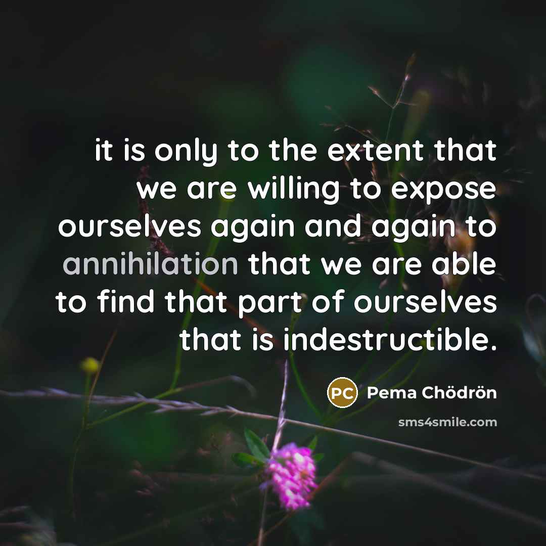 “it is only to the extent that we are willing…” quote by Pema Chodron