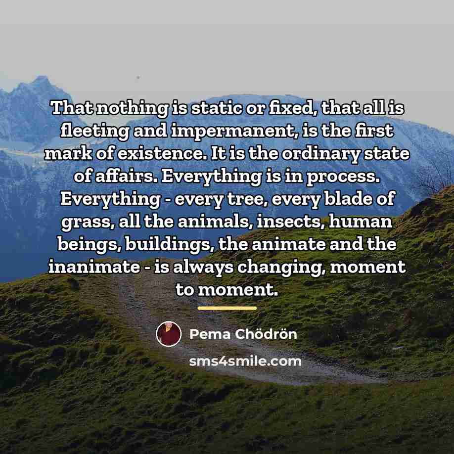 “That nothing is static or fixed, that all is fleeting…” quote by Pema Chodron