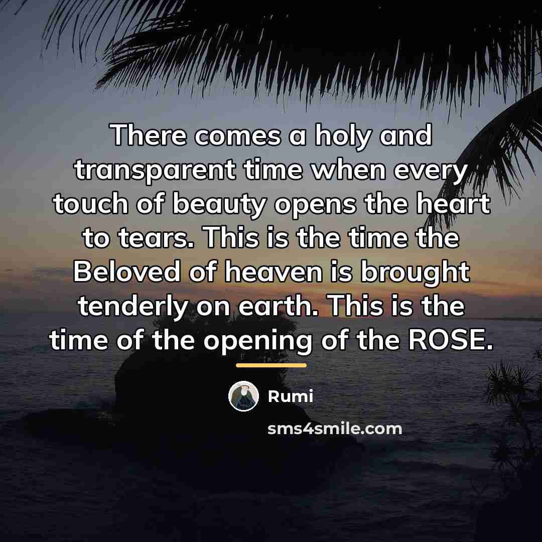 “There comes a holy and transparent time when every touch…” quote by Rumi