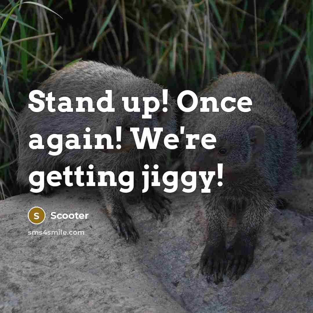 “Stand up! Once again! We're getting jiggy!…” quote by Scooter