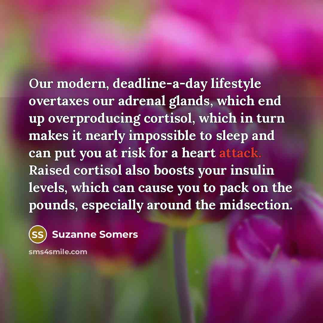 “Our modern, deadline-a-day lifestyle overtaxes our adrenal glands, which end…” quote by Suzanne Somers