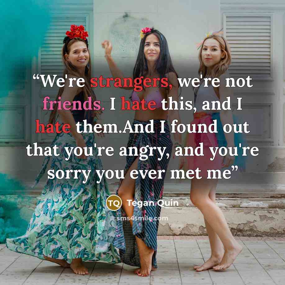 “We're strangers, we're not friends. I hate this, and I hate them.And I found out that you're angry, and you're sorry you ever met me” quote by Tegan Quin