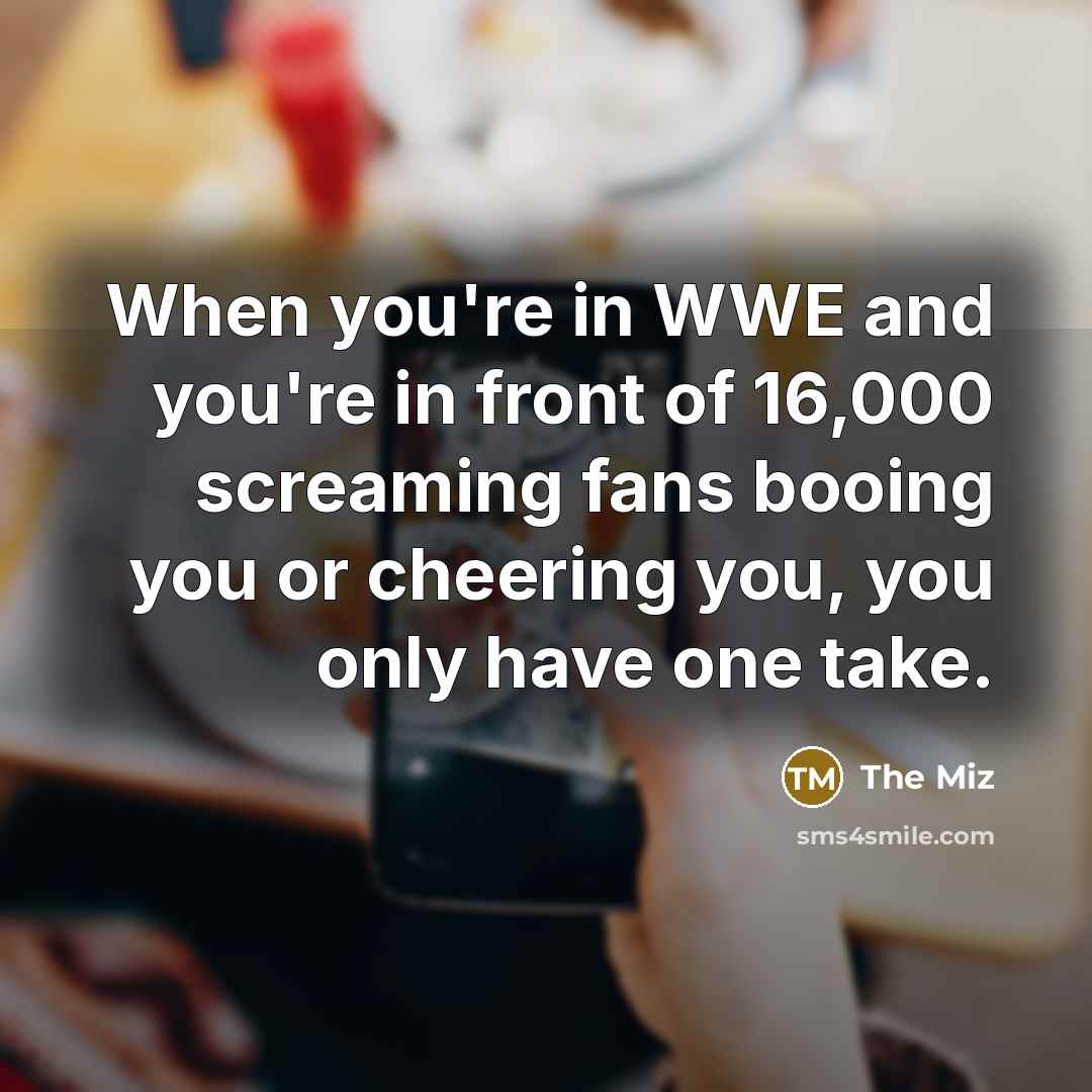 “When you're in WWE and you're in front of 16,000…” quote by The Miz